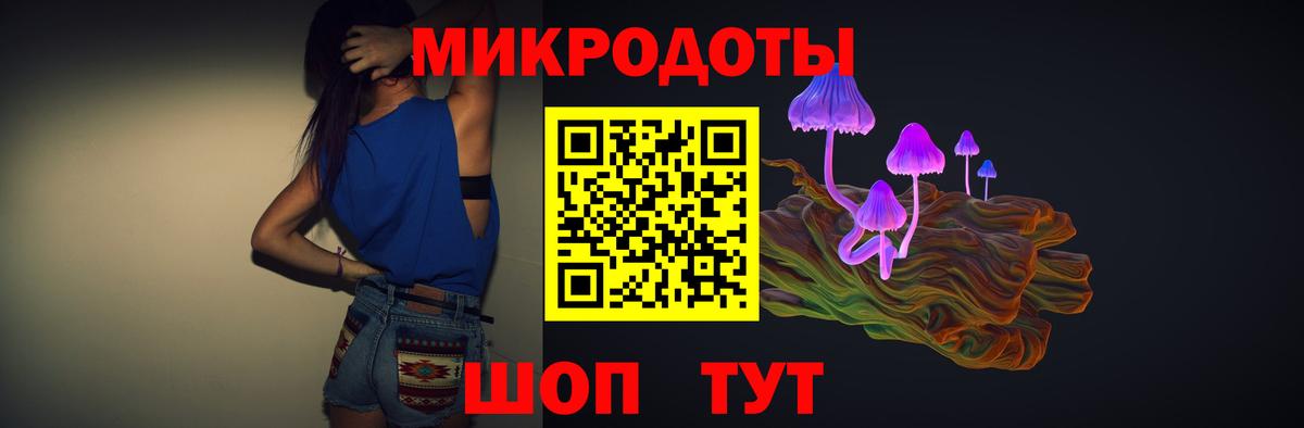 Галлюциногенные грибы мухоморы Новокубанск